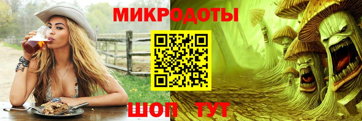 где найти   Псилоцибиновые грибы Magic Shrooms  Вход с VPN  Псилоцибиновые грибы прущие грибы  Элиста 