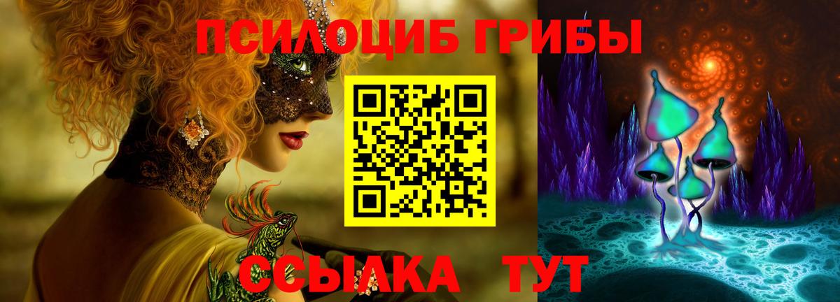 Псилоцибиновые грибы Psilocybine cubensis Элиста